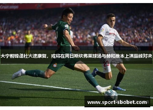 大宁前锋蓬杜火速康复，或将在周日斯坎弗莱球场与赫和推本上演巅峰对决